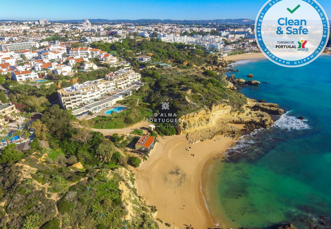 Apartamento em Albufeira - Amado by D'Alma Portuguesa