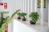 Apartamento em Albufeira - Downtown Apartment - By D`alma  Portuguesa