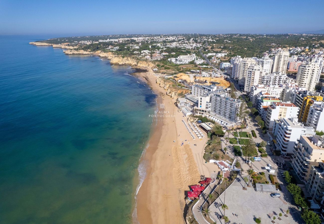 Apartment in Armação de Pêra - Casa do Limoeiro , Armação de Pêra